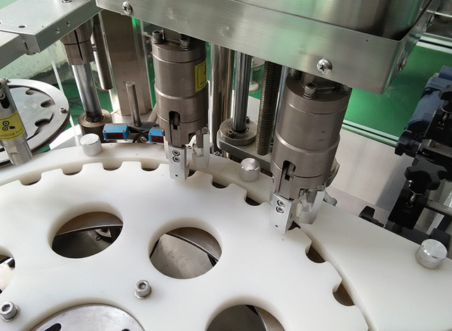 सर्वो कैपर.jpg