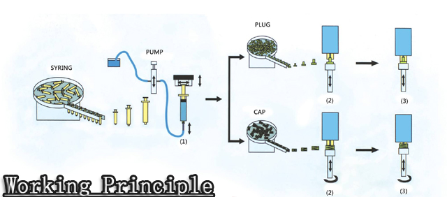 कार्य सिद्धांत.jpg