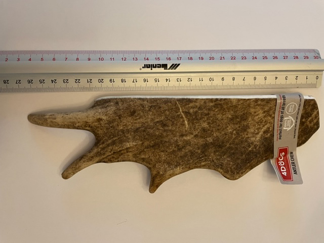 परती हिरण.jpg