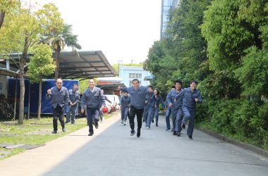 हमारी टीम